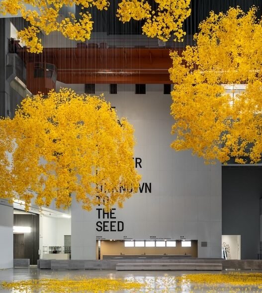 15th Shanghai Biennale “Does the Flower Hear the Bee”