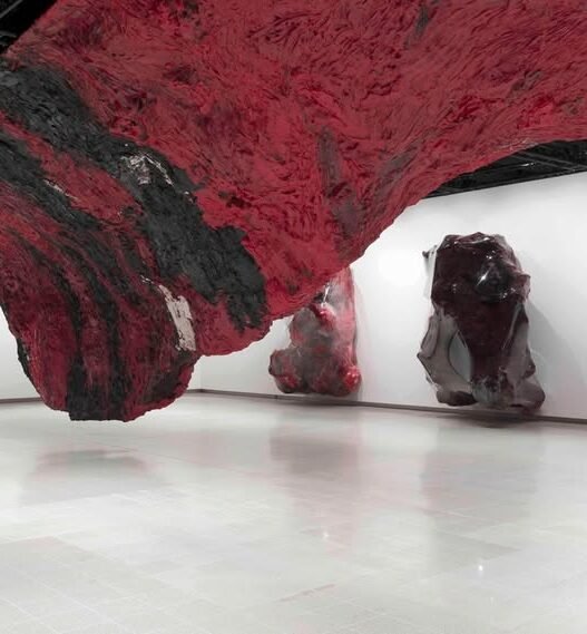 Blood, Voids, and the Sublime Anish Kapoor’s Hayward Gallery Retrospective